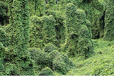 蜗牛游戏推出年度Steam发行商促销活动，提供创纪录折扣和全新内容更新